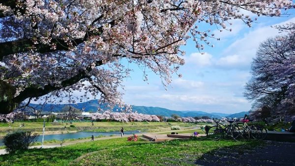 京都・笑emiの近隣情報