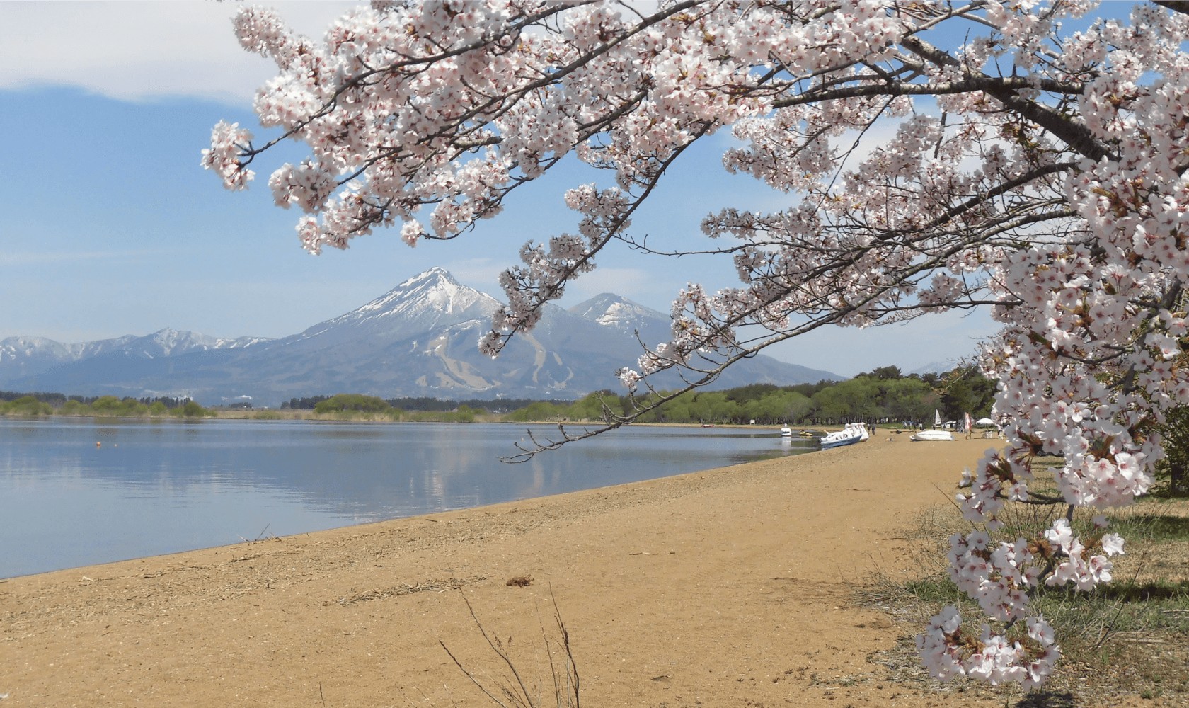 夏は湖水浴もOK