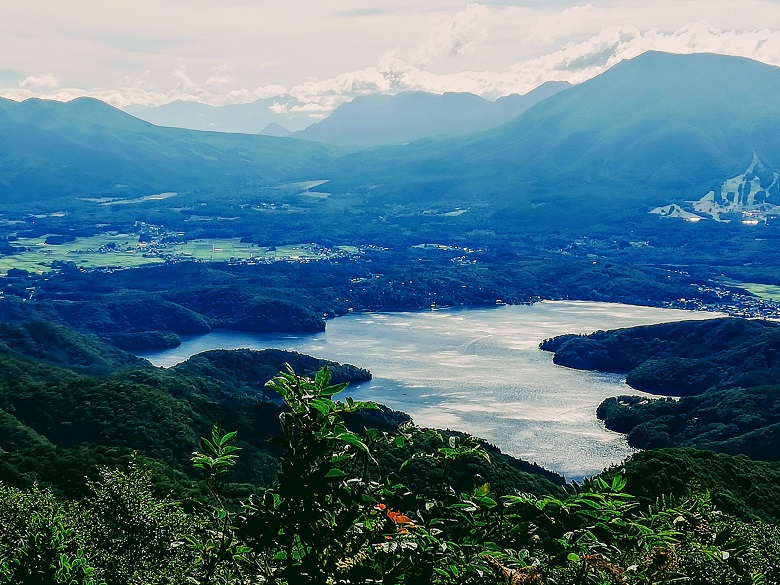 斑尾高原